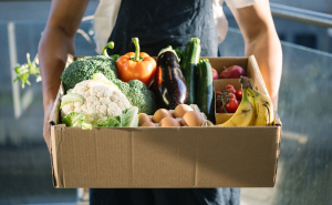 蔬菜健康咨询服务 绿色生活的营养指南